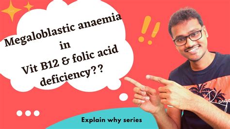 Vitamin B12 Or Folic Acid Deficiency Leads To Megaloblastic Anemia Why