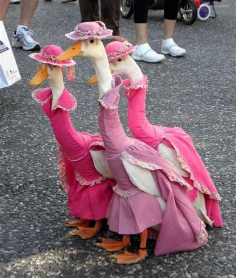 Lets Just Take A Moment To Appreciate These Custom Made Duck Dresses