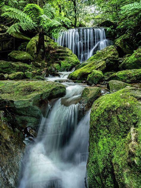 Australia New South Wales Katoomba Leura Cascade In Forest Stock