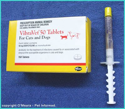 Doxycycline can be prescribed by itself for the prevention of malaria or in combination with another medicine for treatment of malaria. Kennel Cough Infection in Dogs.