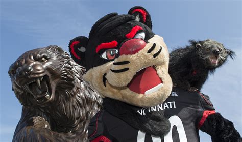 University Of Cincinnati Celebrates Mascots 100th Birthday Wvxu