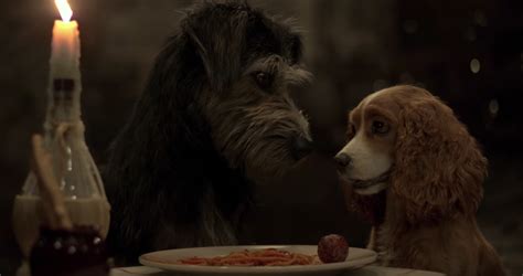 Lady And The Tramp See First Trailer For Disney Live Action Remake