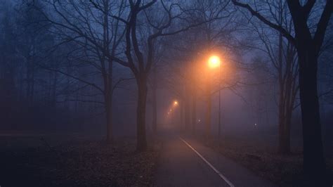Dark And Foggy Road Hd Wallpaper Background Image