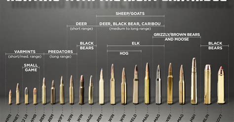 Vintage Outdoors Some More Helpful Ammo Cartridge And