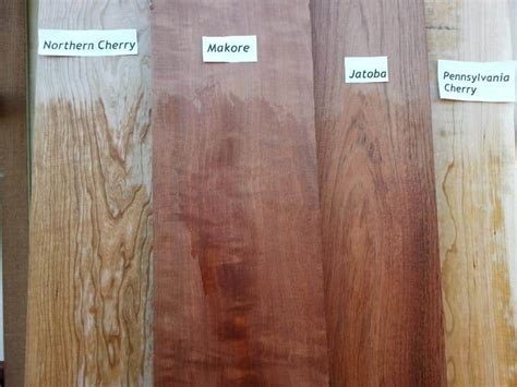 Row of black cherry trees, norfolk county. Cherry Lumber - Wood Vendors