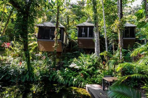 6 The Most Green And Eco Friendly Resorts In The Daintree Rainforest