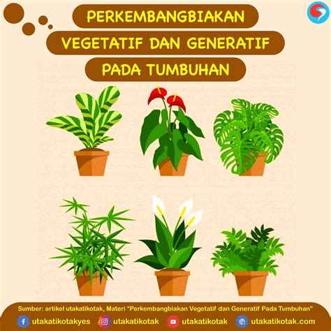 Perkembangbiakan Vegetatif dan Generatif Pada - UtakAtikOtak.com