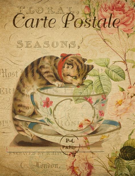 Cat Vintage French Postcard Free Stock Photo Public Domain Pictures