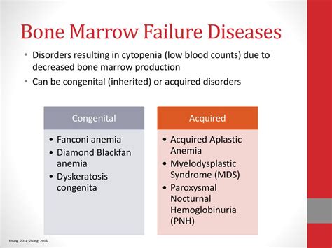Bone Marrow Failure Diseases Including Mds Aa Pnh Ppt Download