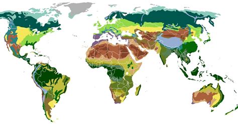 Los Tipos De Biomas Que Existen En El Mundo