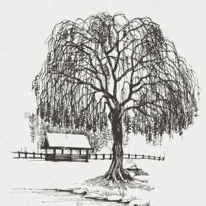 We did not find results for: black and white willow tree and a fox clipart - Clipground