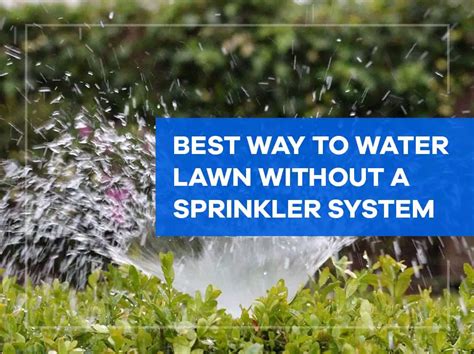 What Is The Best Way To Water Your Lawn