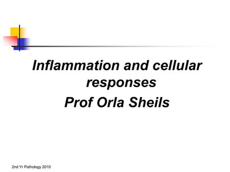 Inflammation And Repair Lectureppt