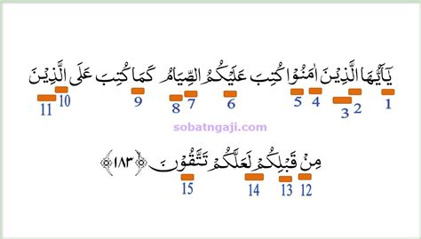 Hukum Tajwid Surat Al Fil Ayat Beserta Tata Cara Baca Hingga Hot Sex