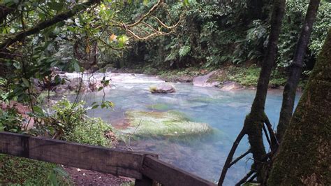 Rio Celeste Trail Alajuela Costa Rica Alltrails