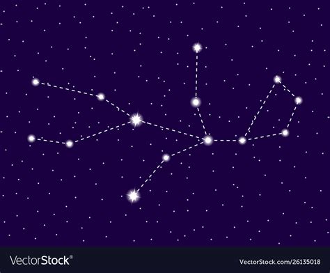 Virgo Constellation Starry Night Sky Zodiac Sign Vector Image
