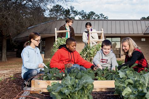 South Carolinas Farm Fresh Schools Farm Flavor