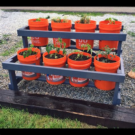 Tomatoes need to be caged or staked since they are berries and have a need to climb. 5 gallon bucket gardening stand | Bucket gardening, Garden ...