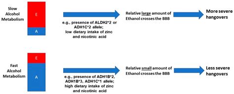 Jcm Free Full Text The Role Of Alcohol Metabolism In The Pathology