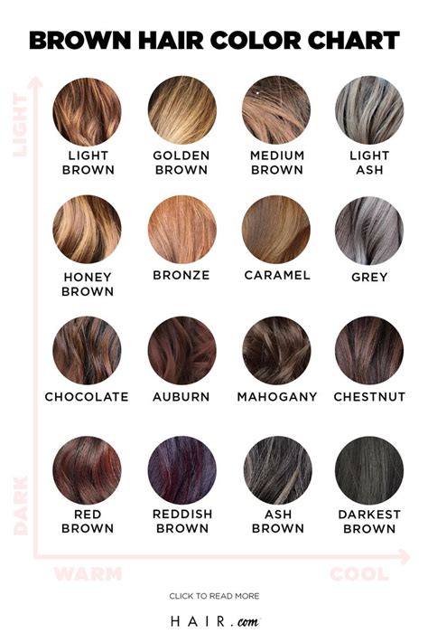 Brunette Hair Color Chart