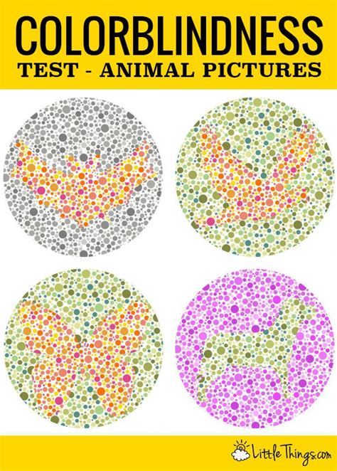 The Best Color Blind Test With Animals References