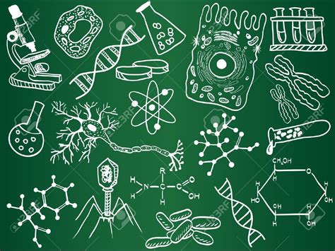 8 Ideas De Dibujos De Biologia En 2021 Dibujos De Biologia Pergamino
