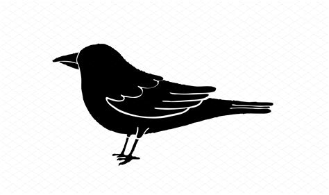 Black Bird Silhouette Custom Designed Icons Creative Market