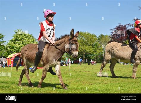 Young Girl Riding A Donkey At A Local Donkey Derby In Bournemouth