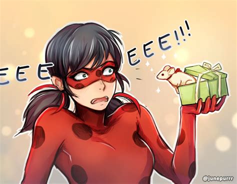 Present 3 4 Doujinshi Miraculous Ladybug All Art Silly Tales