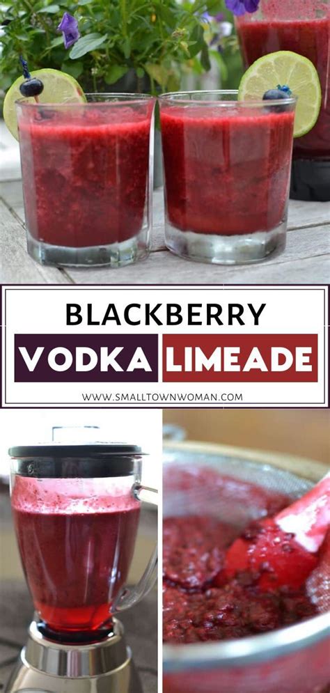 After taking a few sips, you realize that it would be amazing with alcohol. Blackbery Vodka Limeade | Recipe | Vodka, Cocktail recipes ...