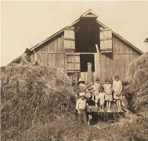 Vintage Farm Kid Photo Farmers Kids Sitting On Hay Stack At The Barn