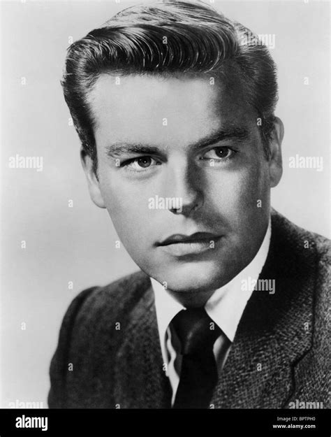 Robert Wagner Actor 1956 Stock Photo 31277372 Alamy
