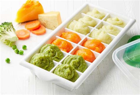 How To Freeze Baby Food Snap Storage