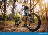El Ciclista Del Hombre Monta Las Trayectorias De Bosque Imagen de ...