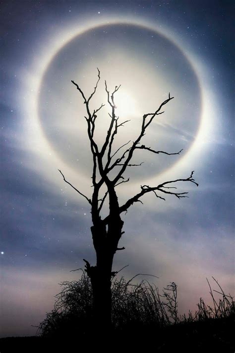 Mystic Moons Nature Photography Moon Pictures Scenery