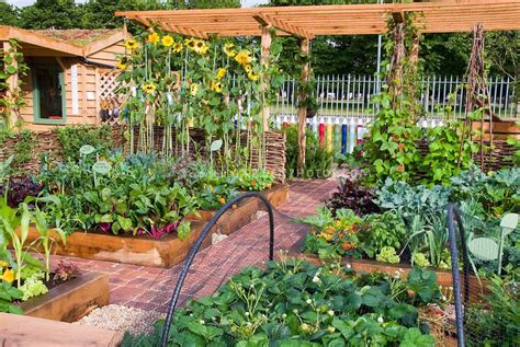 Raised Bed Vegetable Garden With Fruit Strawberries Sunflowers