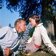 "Love in the Afternoon" - Audrey Hepburn Photo (5201739) - Fanpop