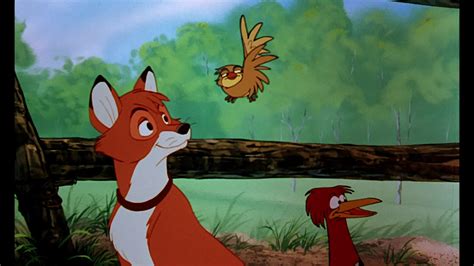 The Fox And The Hound Screenshots The Fox And The Hound Photo