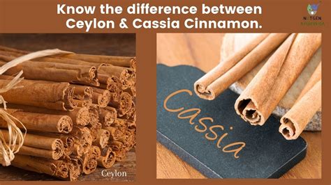 How To Identify The Difference Between Ceylon Cinnamon And Cassia