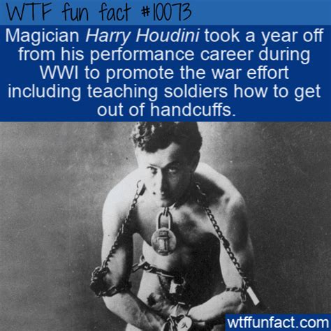 Wtf Fun Fact Helpful Houdini