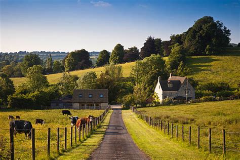 232400 England Countryside Stock Photos Pictures And Royalty Free