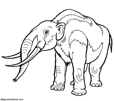 Para sus hijos, hemos preparado una gran colección dibujos para colorear dinosaurios reales y de dibujos animados. Dibujos de Dinosaurios para Colorear