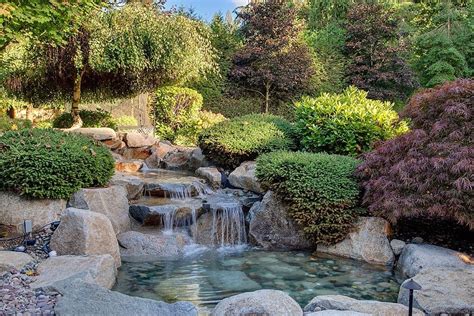 We did not find results for: Traditional Landscape/Yard with exterior stone floors, Bonsai- Japanese Maple- 'Red Dragon ...