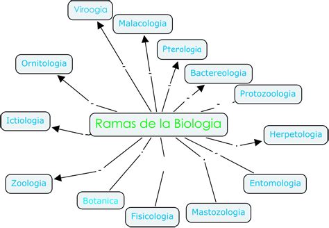 Mapa Conceptual Sobre La Biologia