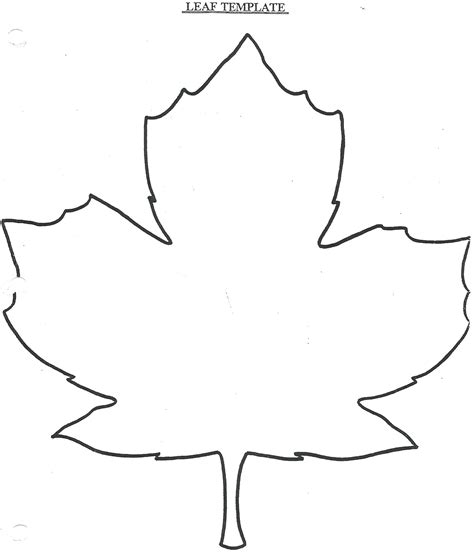 Leaf Drawing Easy At Explore Collection Of Leaf