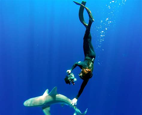 Nick Diving Sandbar Shark Hawaii Adventure Diving