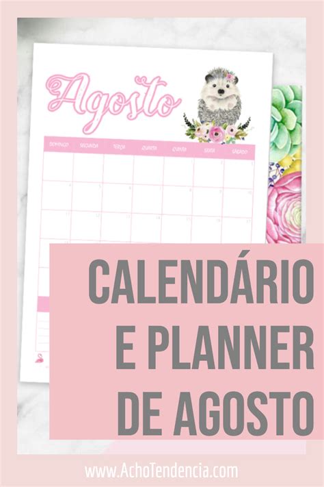 Calendário E Planner De Agosto Baixe Grátis Acho Tendência