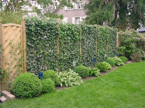 Nutzen sie ihn als sichtschutzwand, terrassentrenner oder als gartenhaus für sich und ihren nachbarn. Sichtschutz im Garten | DIY Academy