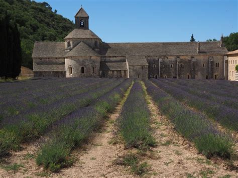 Lavender Field At Old Church Building France Gordes Abbaye De