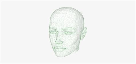 Human Head Face Forehead Drawing Outline Of The Human Head X PNG Download PNGkit